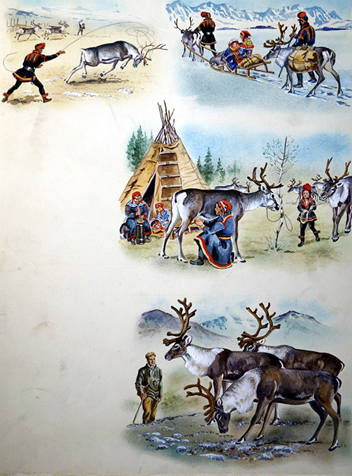 Laplanders and Reindeer (Original) by Animals at The Illustration Art Gallery