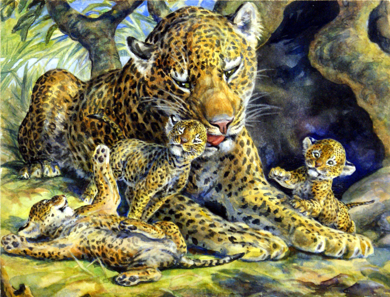 Leopardess and her Cubs (Original) art by Jesus Blasco Art at The Illustration Art Gallery