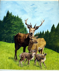 Bambi's Children cover art (Original)