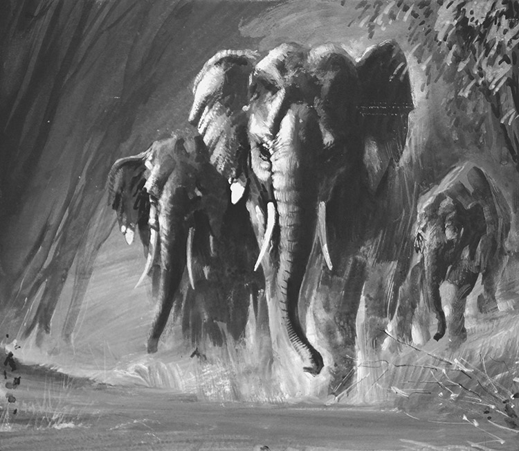 Elephants on Parade (Original) by Graham Coton at The Illustration Art Gallery