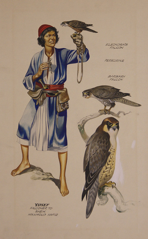 Falcons and Falconer (Original) by Ron Embleton Art at The Illustration Art Gallery