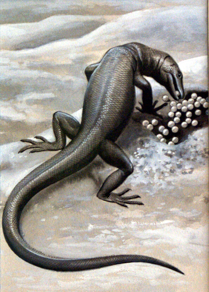 Monitor Lizard (Original) art by Helen Haywood Art at The Illustration Art Gallery
