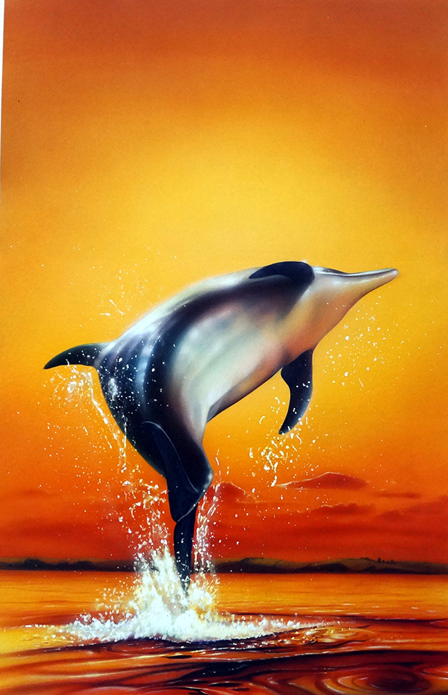 Dolphin Sunrise book cover art (Original) art by Barry Jones Art at The Illustration Art Gallery