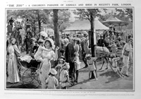 The Zoo In Regents Park (original page from The Sphere 1913) (Print)