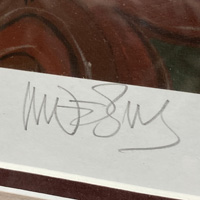 Moebius Signature