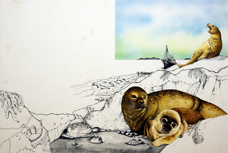 Seals - The Season of Slaughter (Original) by Susan Neale Art at The Illustration Art Gallery