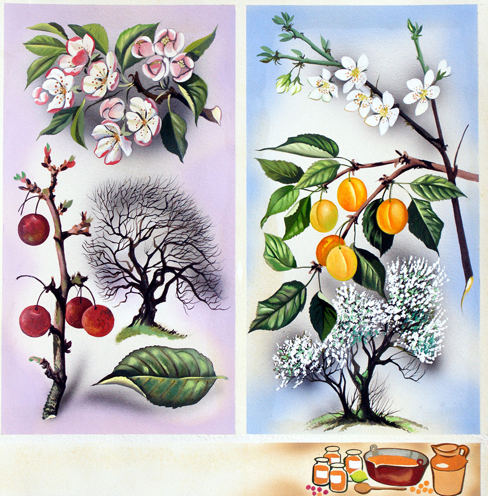 Cherry and Peach Wild Fruit Trees (Original) art by David Pratt Art at The Illustration Art Gallery